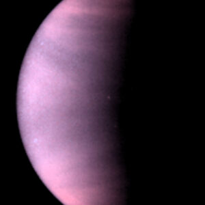  Venus Love Reading 
