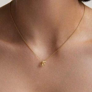 Aries Zodiac Pendant Necklace