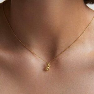 Capricorn Zodiac Pendant Necklace