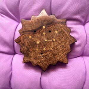 Aquarius Zodiac Star Incense Holder