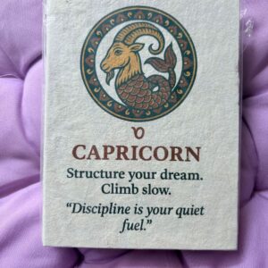 Capricorn Zodiac Diary
